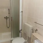 Pod Forticu
